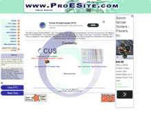 Tablet Screenshot of proesite.com